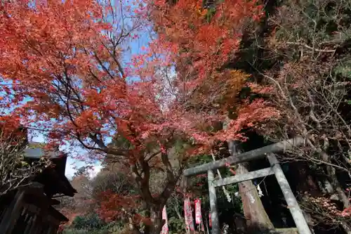 鹿島大神宮の鳥居