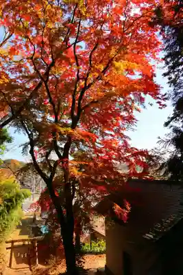 田村神社の鳥居