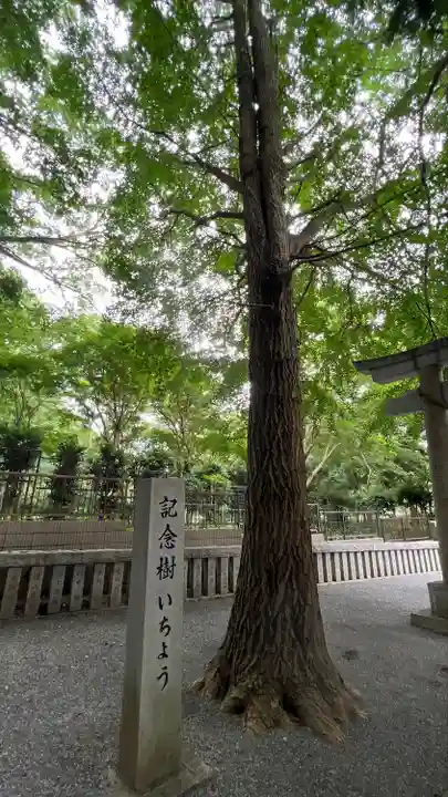 熊野神社(神奈川県)