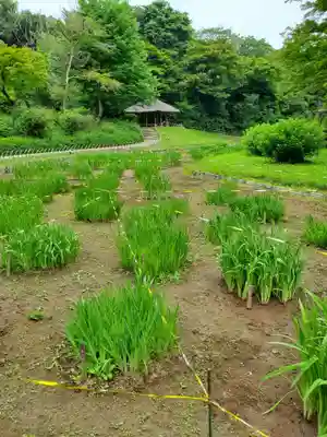 明治神宮(東京都)