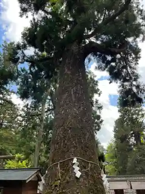 元伊勢内宮 皇大神社(京都府)