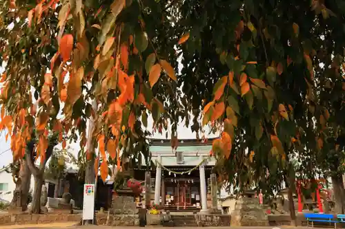 熊野福藏神社の鳥居