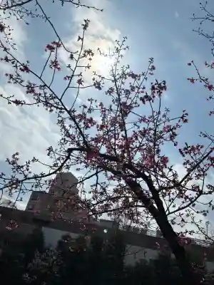 西新井大師総持寺の{uncategorized: "未分類", other: "その他", undefined: "問題あり", building: "その他建物", grave: "お墓", sacred_gate: "鳥居", guardian: "狛犬", statue: "像", buddha: "仏像", history: "歴史", nature: "自然", garden: "庭園", animal: "動物", pagoda: "塔", temizu: "手水舎", mountain_gate: "山門・神門", sanctuary: "本殿・本堂", subordinate: "末社・摂社", art: "芸術", scenery: "景色", jizo: "地蔵", ema: "絵馬", goshuin: "御朱印", omikuji: "おみくじ", items: "授与品その他", amulet: "お守り", goshuincho: "御朱印帳", eats: "食事", festival: "お祭り", votive_dance: "神楽", shichigosan: "七五三参", wedding: "結婚式", experience: "体験その他", initially: "初詣", around: "周辺", anti_infection: "感染症対策"}