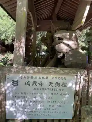 瑞巌寺(徳島県)