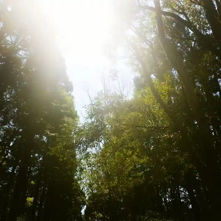 鹿島神宮の自然