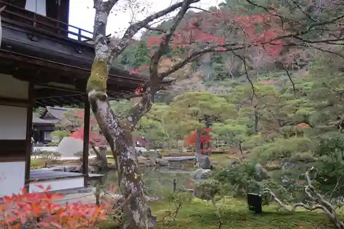 慈照寺（慈照禅寺・銀閣寺）の庭園