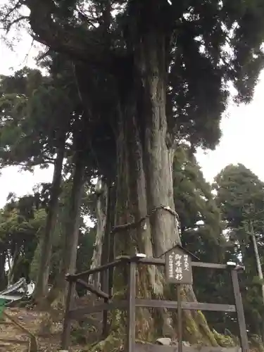 身延山奥之院思親閣(山梨県)