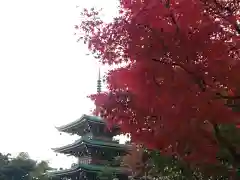 随念寺(愛知県)