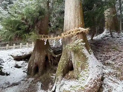 天一神社の{uncategorized: "未分類", other: "その他", undefined: "問題あり", building: "その他建物", grave: "お墓", sacred_gate: "鳥居", guardian: "狛犬", statue: "像", buddha: "仏像", history: "歴史", nature: "自然", garden: "庭園", animal: "動物", pagoda: "塔", temizu: "手水舎", mountain_gate: "山門・神門", sanctuary: "本殿・本堂", subordinate: "末社・摂社", art: "芸術", scenery: "景色", jizo: "地蔵", ema: "絵馬", goshuin: "御朱印", omikuji: "おみくじ", items: "授与品その他", amulet: "お守り", goshuincho: "御朱印帳", eats: "食事", festival: "お祭り", votive_dance: "神楽", shichigosan: "七五三参", wedding: "結婚式", experience: "体験その他", initially: "初詣", around: "周辺", anti_infection: "感染症対策"}