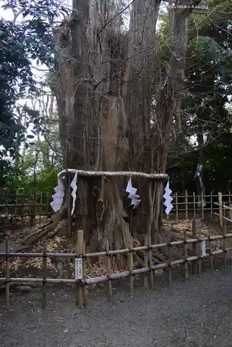 大國魂神社(東京都)