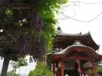 興福寺 南円堂の本殿・本堂