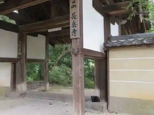 長岳寺(奈良県)