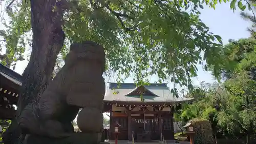 氷川神社の狛犬