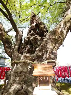 秩父今宮神社の{uncategorized: "未分類", other: "その他", undefined: "問題あり", building: "その他建物", grave: "お墓", sacred_gate: "鳥居", guardian: "狛犬", statue: "像", buddha: "仏像", history: "歴史", nature: "自然", garden: "庭園", animal: "動物", pagoda: "塔", temizu: "手水舎", mountain_gate: "山門・神門", sanctuary: "本殿・本堂", subordinate: "末社・摂社", art: "芸術", scenery: "景色", jizo: "地蔵", ema: "絵馬", goshuin: "御朱印", omikuji: "おみくじ", items: "授与品その他", amulet: "お守り", goshuincho: "御朱印帳", eats: "食事", festival: "お祭り", votive_dance: "神楽", shichigosan: "七五三参", wedding: "結婚式", experience: "体験その他", initially: "初詣", around: "周辺", anti_infection: "感染症対策"}