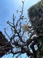 一心寺・一心禅寺(愛知県)