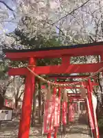 於菊稲荷神社の鳥居