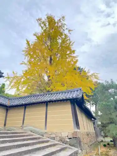 隨心院（随心院）の建物その他