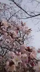 相馬神社(北海道)