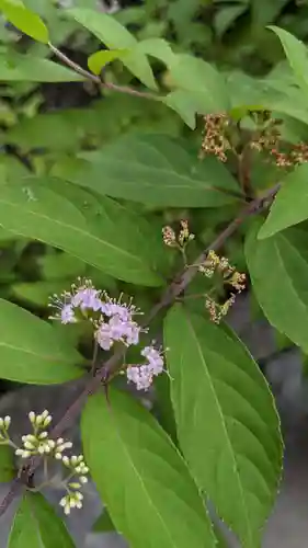 三輪神社の自然