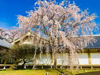 醍醐寺のその他建物