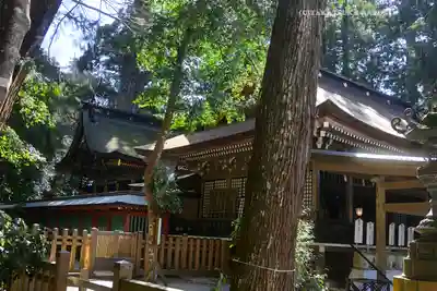 鹿島神宮(茨城県)