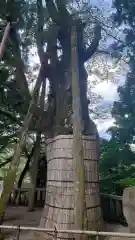 白山比咩神社(石川県)