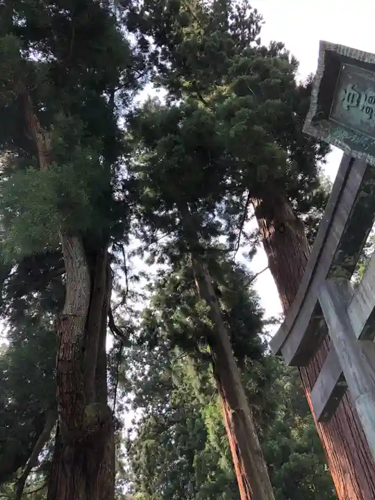 妙義神社の自然