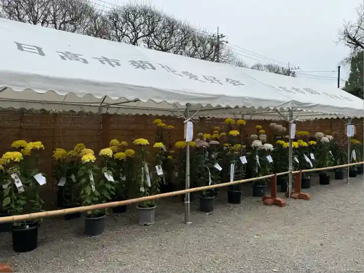 高麗神社(埼玉県)