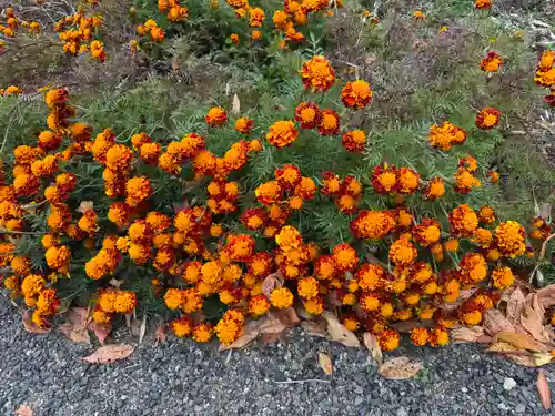 豊景神社(福島県)