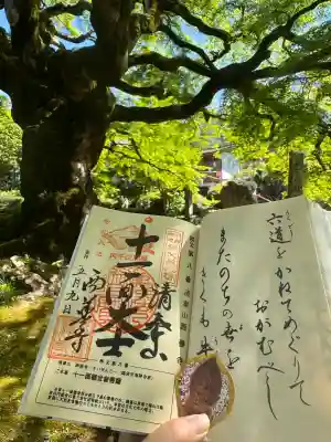 西善寺の{uncategorized: "未分類", other: "その他", undefined: "問題あり", building: "その他建物", grave: "お墓", sacred_gate: "鳥居", guardian: "狛犬", statue: "像", buddha: "仏像", history: "歴史", nature: "自然", garden: "庭園", animal: "動物", pagoda: "塔", temizu: "手水舎", mountain_gate: "山門・神門", sanctuary: "本殿・本堂", subordinate: "末社・摂社", art: "芸術", scenery: "景色", jizo: "地蔵", ema: "絵馬", goshuin: "御朱印", omikuji: "おみくじ", items: "授与品その他", amulet: "お守り", goshuincho: "御朱印帳", eats: "食事", festival: "お祭り", votive_dance: "神楽", shichigosan: "七五三参", wedding: "結婚式", experience: "体験その他", initially: "初詣", around: "周辺", anti_infection: "感染症対策"}