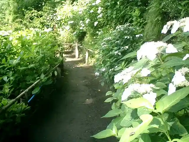 御霊神社の自然