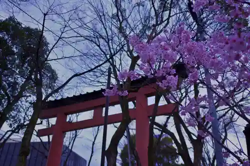 武蔵一宮氷川神社の鳥居