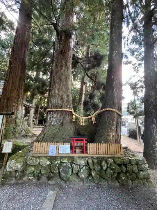 室生龍穴神社(奈良県)