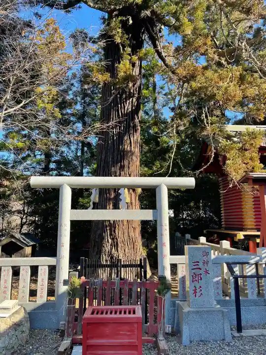 大杉神社の自然