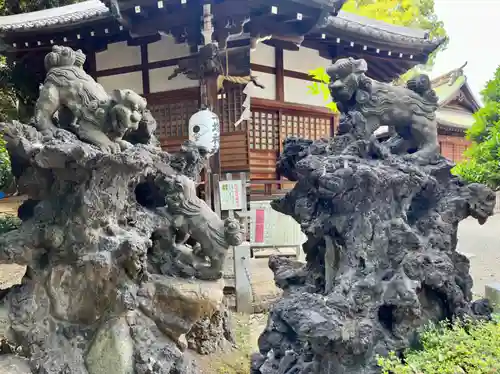 平塚神社の狛犬