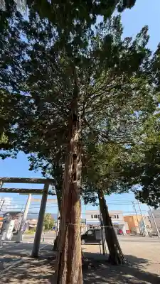 意冨比神社(北海道)