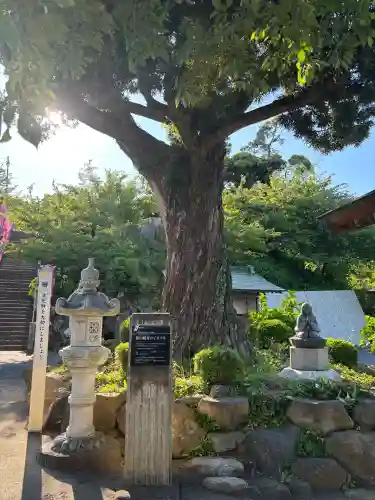 長谷寺の{uncategorized: "未分類", other: "その他", undefined: "問題あり", building: "その他建物", grave: "お墓", sacred_gate: "鳥居", guardian: "狛犬", statue: "像", buddha: "仏像", history: "歴史", nature: "自然", garden: "庭園", animal: "動物", pagoda: "塔", temizu: "手水舎", mountain_gate: "山門・神門", sanctuary: "本殿・本堂", subordinate: "末社・摂社", art: "芸術", scenery: "景色", jizo: "地蔵", ema: "絵馬", goshuin: "御朱印", omikuji: "おみくじ", items: "授与品その他", amulet: "お守り", goshuincho: "御朱印帳", eats: "食事", festival: "お祭り", votive_dance: "神楽", shichigosan: "七五三参", wedding: "結婚式", experience: "体験その他", initially: "初詣", around: "周辺", anti_infection: "感染症対策"}