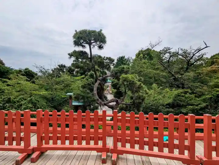 清水観音堂(東京都)