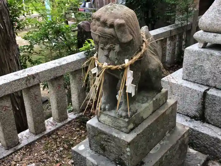 坂本八幡神社の狛犬