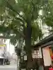 波除神社(波除稲荷神社)(東京都)