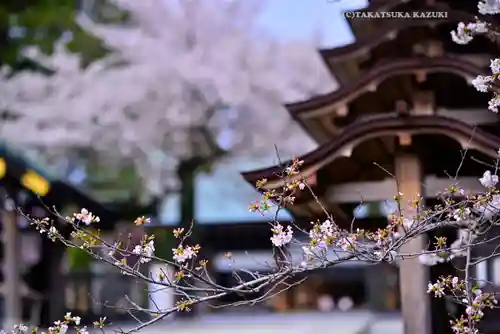 伊勢山皇大神宮(神奈川県)