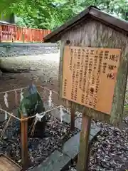 津島神社の歴史