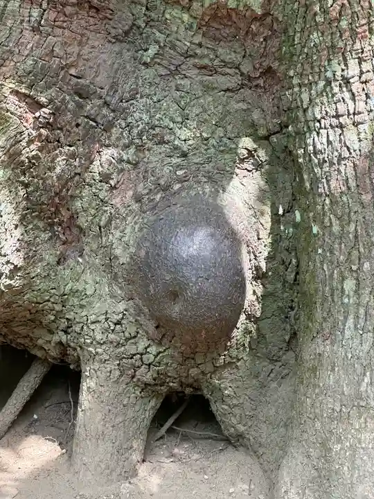 江田神社(宮崎県)