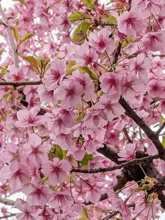 源空寺(東京都)