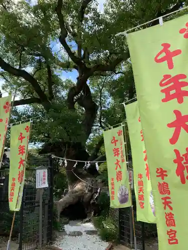 牛嶋天満宮の自然