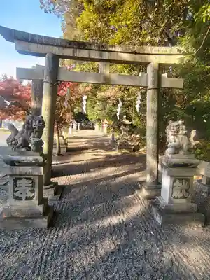 杉之木神社(滋賀県)