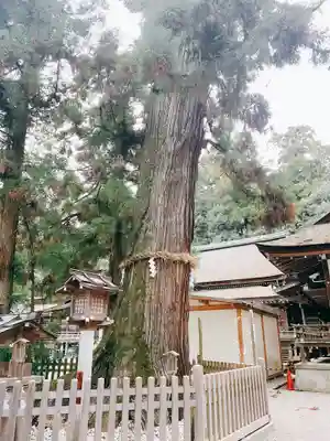 大神神社(奈良県)