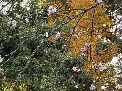 熊野神社(山梨県)