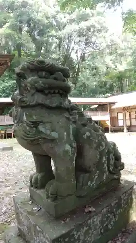 加茂神社の狛犬