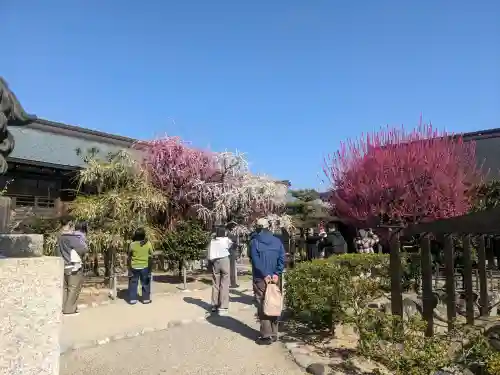 結城神社の{uncategorized: "未分類", other: "その他", undefined: "問題あり", building: "その他建物", grave: "お墓", sacred_gate: "鳥居", guardian: "狛犬", statue: "像", buddha: "仏像", history: "歴史", nature: "自然", garden: "庭園", animal: "動物", pagoda: "塔", temizu: "手水舎", mountain_gate: "山門・神門", sanctuary: "本殿・本堂", subordinate: "末社・摂社", art: "芸術", scenery: "景色", jizo: "地蔵", ema: "絵馬", goshuin: "御朱印", omikuji: "おみくじ", items: "授与品その他", amulet: "お守り", goshuincho: "御朱印帳", eats: "食事", festival: "お祭り", votive_dance: "神楽", shichigosan: "七五三参", wedding: "結婚式", experience: "体験その他", initially: "初詣", around: "周辺", anti_infection: "感染症対策"}